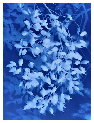 Image of branches of pittosporum leaves in varying shades of blue. It is technically a photo but has the texture of a painting.