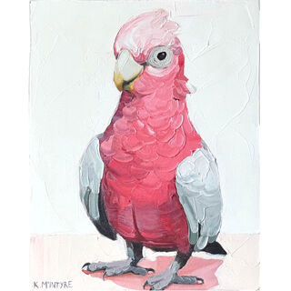 original oil painting of australian bird, galah