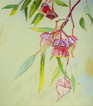 Pink gum blossom with buds and leaves with a soft Australian green back ground. 