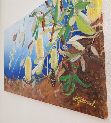 (CreativeWork) Banksias by Lynne Gillard. Oil. Shop online at Bluethumb.