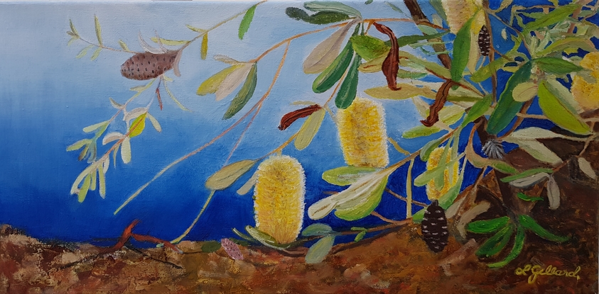 (CreativeWork) Banksias by Lynne Gillard. Oil. Shop online at Bluethumb.