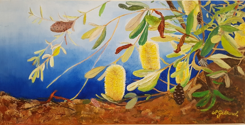 (CreativeWork) Banksias by Lynne Gillard. Oil. Shop online at Bluethumb.