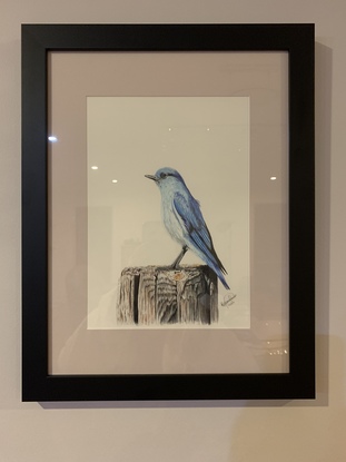 (CreativeWork) Blue Bird by Katina Prior. Drawing. Shop online at Bluethumb.