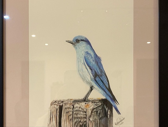 (CreativeWork) Blue Bird by Katina Prior. Drawing. Shop online at Bluethumb.