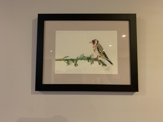 (CreativeWork) Gold Finch by Katina Prior. Drawing. Shop online at Bluethumb.