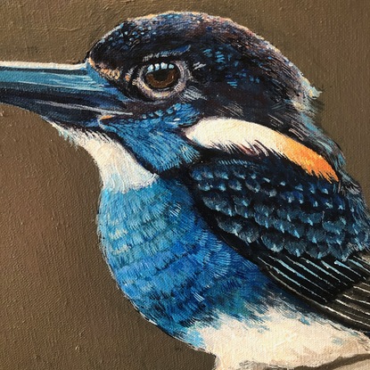 (CreativeWork) Blue-banded Kingfisher by Robert Rogers. Acrylic. Shop online at Bluethumb.