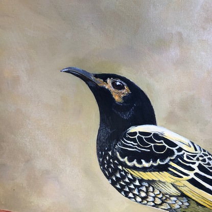 (CreativeWork) Regents Honeyeater by Robert Rogers. Acrylic. Shop online at Bluethumb.