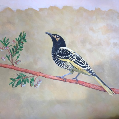 (CreativeWork) Regents Honeyeater by Robert Rogers. Acrylic. Shop online at Bluethumb.