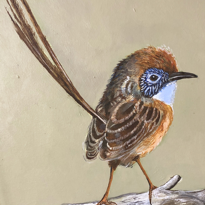 (CreativeWork) Mallee Scrub Wren by Robert Rogers. Acrylic. Shop online at Bluethumb.