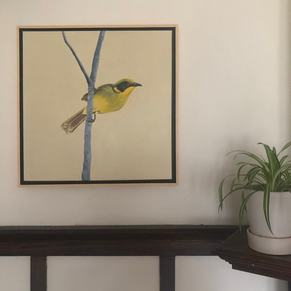 (CreativeWork) Yellow Tufted Honeyeater by Robert Rogers. Acrylic. Shop online at Bluethumb.