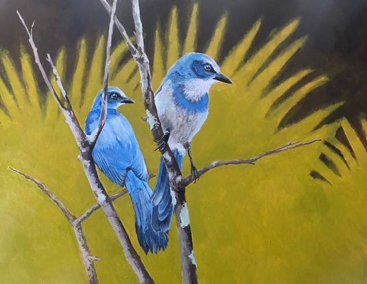 (CreativeWork) Florida Scrub Jay by Robert Rogers. Acrylic. Shop online at Bluethumb.