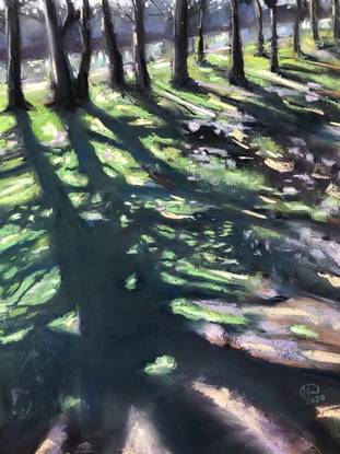 (CreativeWork) Light and Shade of the Greenway  by Ksenia Radchenko. Drawing. Shop online at Bluethumb.