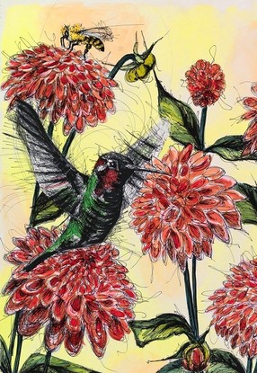 Dahlias in full bloom with humming birds hovering and bees buzzing dining on their sweet necar . . Layers of acrylic wash, built up with high flow acrylic so that the blooms almost pop off the page, overlaid with pen in semi continuous line (scribble) to create a sense of freedom, movement and life in the piece