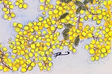 Wattle in full bloom with rosellas perched in the branches. Layers of acrylic wash, built up with high flow acrylic, overlaid with pen in semi continuous line (scribble) to create a sense of freedom, movement and life in the piece