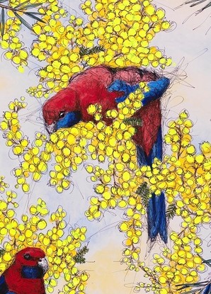 Wattle in full bloom with rosellas perched in the branches. Layers of acrylic wash, built up with high flow acrylic, overlaid with pen in semi continuous line (scribble) to create a sense of freedom, movement and life in the piece