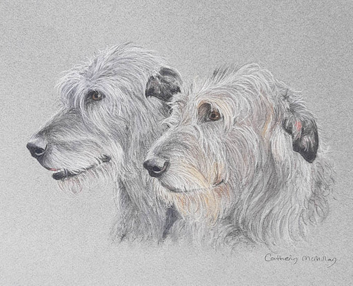 (CreativeWork) Wolfhounds Ed. 3 of 10 by Catherin McMillan. Reproduction Print. Shop online at Bluethumb.