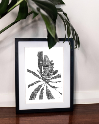 (CreativeWork) Down South Banksia  (A5 Limited Edition Fine Art Print)  Ed. 10 of 20 by Eleanor Killen. Reproduction Print. Shop online at Bluethumb.