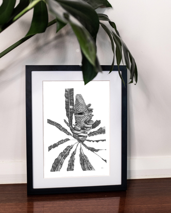 (CreativeWork) Down South Banksia  (A2  Limited Edition Fine Art Print)  Ed. 2 of 5 by Eleanor Killen. Reproduction Print. Shop online at Bluethumb.