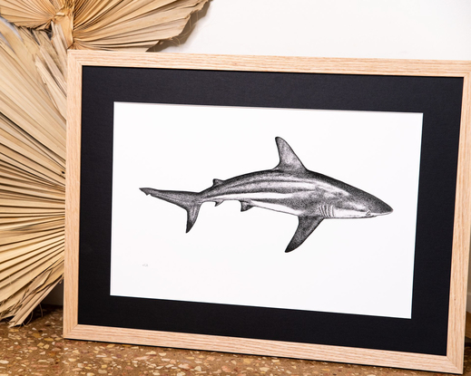 (CreativeWork) Reef Shark (A2 Limited Edition Fine Art Print)  Ed. 25 of 50 by Eleanor Killen. Reproduction Print. Shop online at Bluethumb.