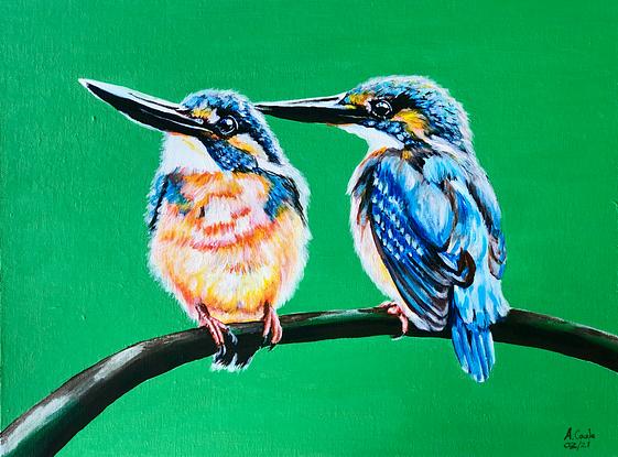 Two kingfishers hunting for food captured on the lookout.