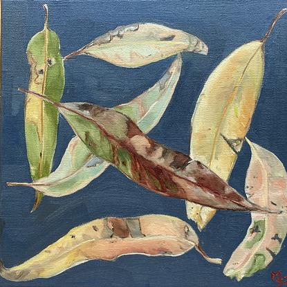 Seven gum leaves painted as if scattered on a dark blue/ grey background 