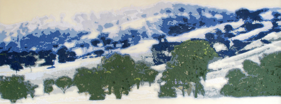 NSW south west slopes in encaustic paint