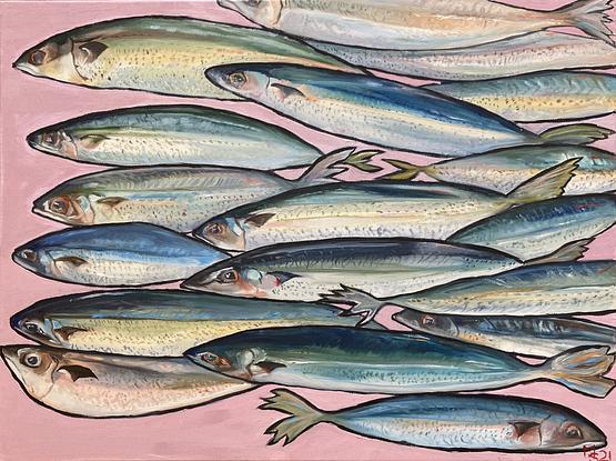 School of  sardines on a pink background 