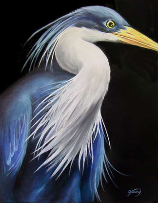 (CreativeWork) Pied Heron by christine Young. Acrylic. Shop online at Bluethumb.