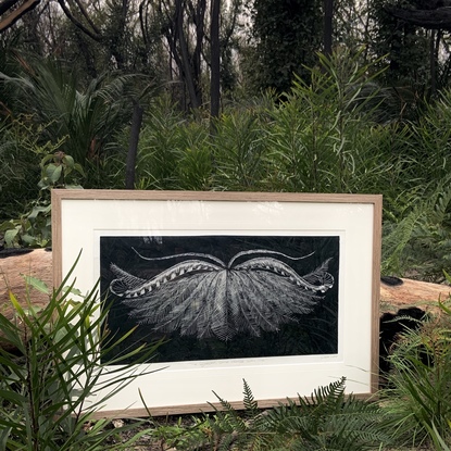 (CreativeWork) The Lyrebird, Come dance with me  Ed. 14 of 50 by Peta West. Reproduction Print. Shop online at Bluethumb.