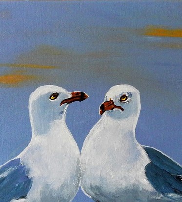 Two seagulls at the Beach