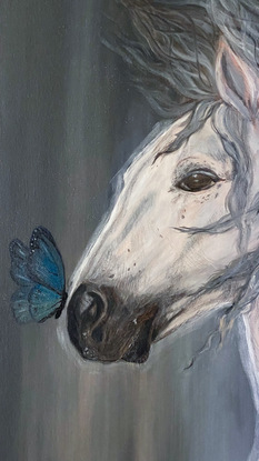 White horse with blue butterflies 