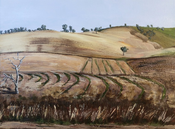 A harvested paddock with rolling hills and blue sky.