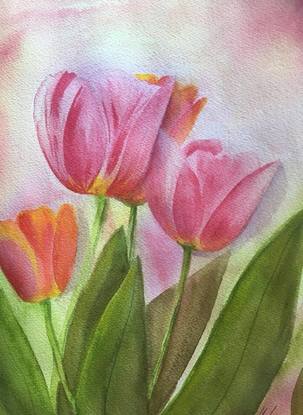 (CreativeWork) tulip delight by Hilde Marsh. Watercolour. Shop online at Bluethumb.