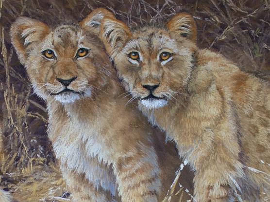 lion cubs in dry grass