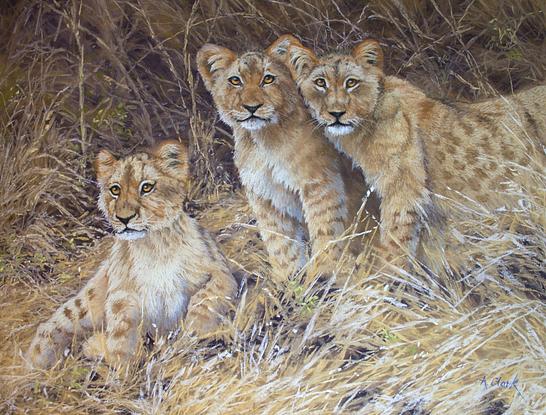 lion cubs in dry grass