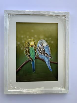 Two Budgerigars sleeping together on a branch 