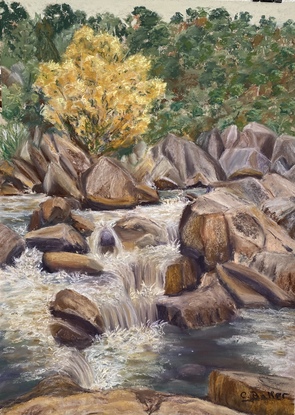 The scene depicts the cool raids of the Snowy River, surrounded by lovely granite and sandstone rocks. In the background is a lovely yellow (Autumn) tree