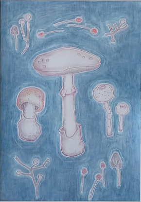 Mushrooms 