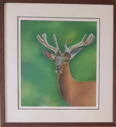 (CreativeWork) Deer in velvet by Lynne Amor. Other Media. Shop online at Bluethumb.