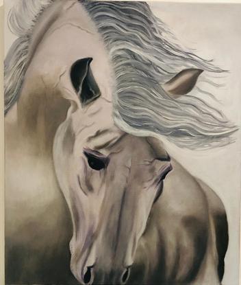 (CreativeWork) Lipizzan by Maryam Khosravi. Oil. Shop online at Bluethumb.