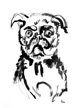 A pug portrait in black ink 