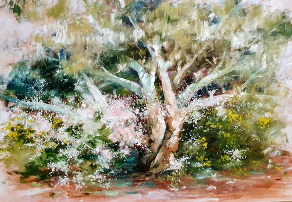 Impressionist oil painting by Victoria Collins of Australian white gum tree with white cherry blossoms and yellow wattle around it's base. All in warm earthy tones of browns and muted blues. 