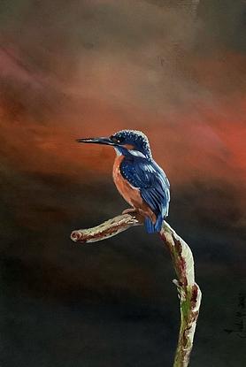 Kingfisher perched on a dead branch exuding peace and contentment!