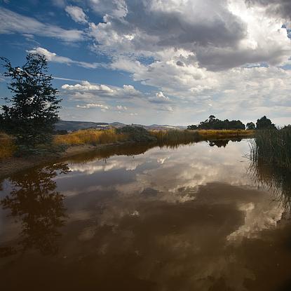 A dam with brown water bordered by yellow reeds, reflecting the blue sky with withe and grey fluffy clouds and hills in the background