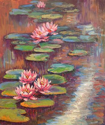 Water lilies on the river.