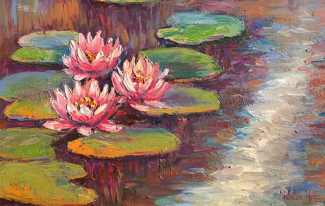 Water lilies on the river.