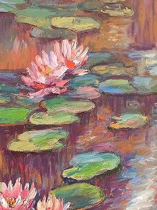 Water lilies on the river.