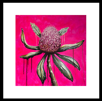 Modern Banksia flower on bright pink