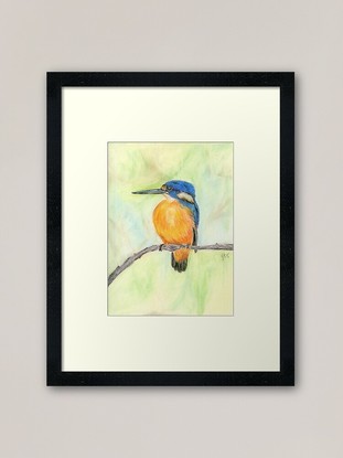 A vibrant orange and blue coloured azure kingfisher is perched on a branch The background is a calming blend of light greens and cream.