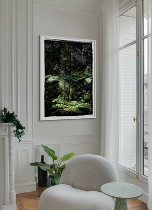 The Dandenongs rainforest is inspiring with its abundance of ferns and the light playing through the canopy, creating a magic atmosphere which I try to capture. 